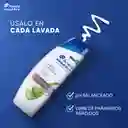 Shampoo Head Shoulders Dermo Sensitive Extractos de Sabila / Aloe Control Caspa Champu Head and Shoulders 180 ml