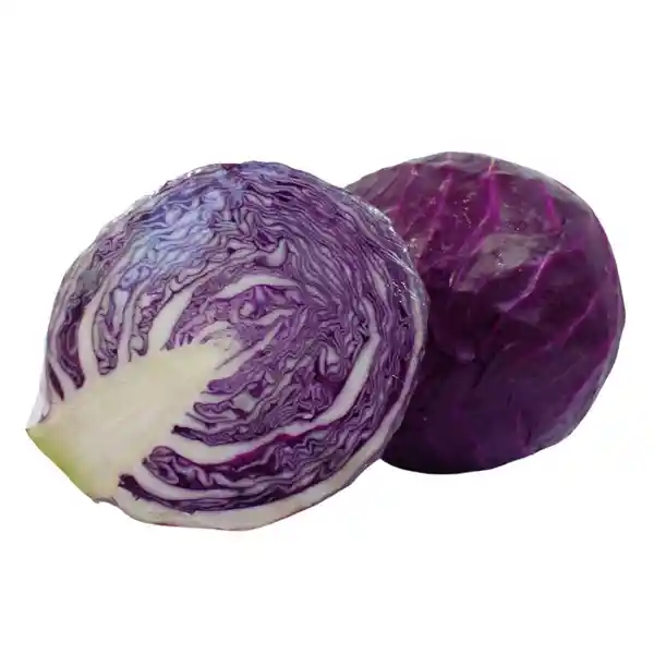 Repollo Morado