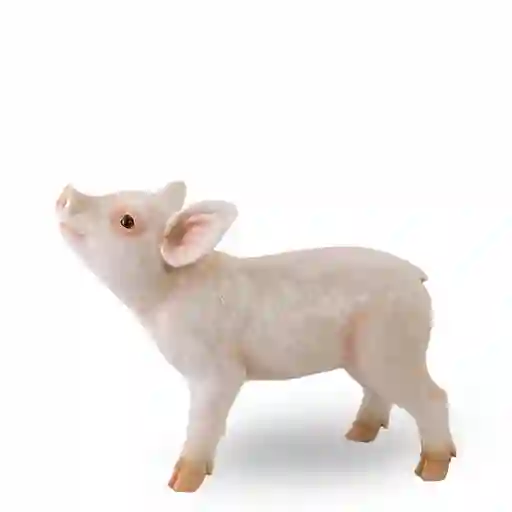 Ambiente Gourmet Figura Mini Pig
