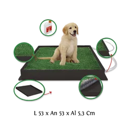 Am Mascotas Potty Para Mascota Pequeño