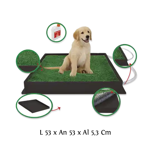 Am Mascotas Potty Para Mascota Pequeño