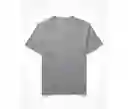 Camiseta Gris Talla X-small Hombre American Eagle