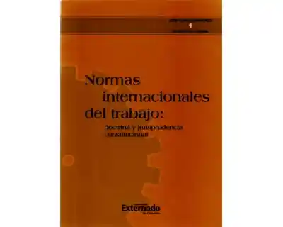 Normas Internacionales Del Trabajo