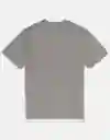 Camiseta Hombre Gris Talla LARGE 4290006 American Eagle