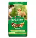 Dog Chow Salud Visible Cachorros Medianos y Grandes 2Kg