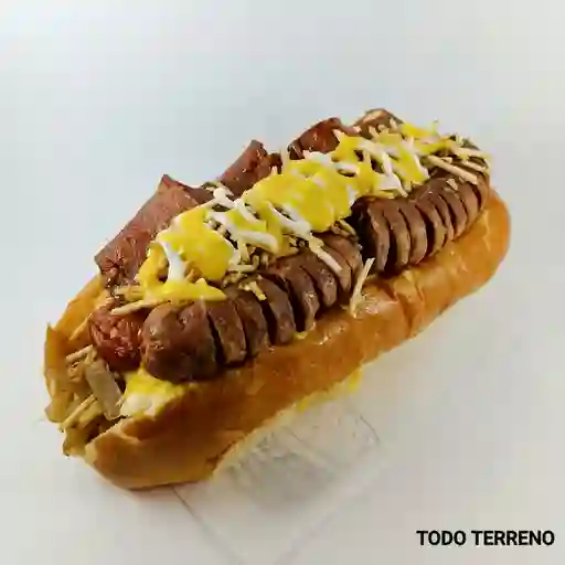 Perro todo terreno