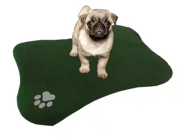 Hally Pets Cama Para Mascotas en Forma de Hueso Verde E1003