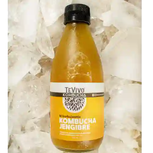 Tevivo Kombucha Jengibre