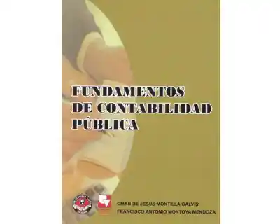 Fundamentos de Contabilidad Pública (Incluye Cd)