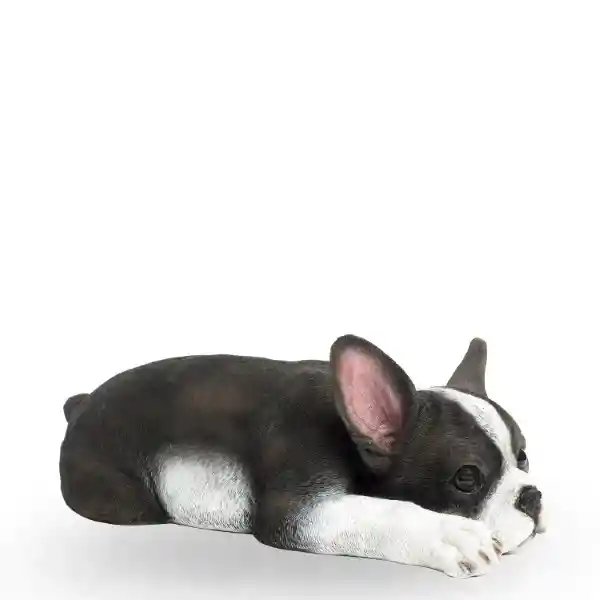 Perro Boston Terrier Ambiente Gourmet