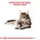 Royal Canin Feline Breed Nutrition Dry Maine Coon Adult 2Kg