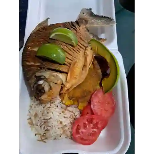Cachama Frita