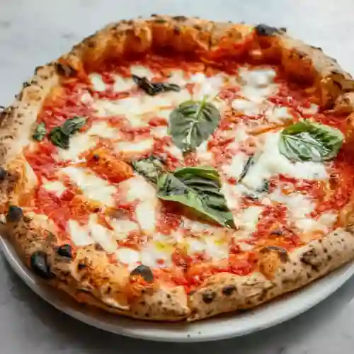Pizza Margarita 8 Piezas