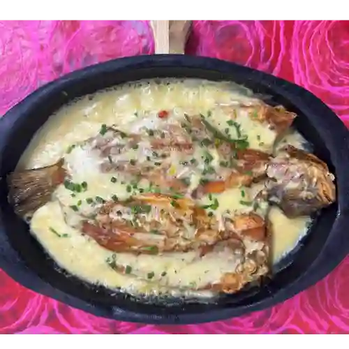 Trucha Al Ajillo