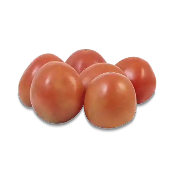 Tomate Chonto