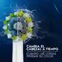 Oral-B Cepillo de Dientes Eléctrico Pro 1 Con Cabezal Redondo