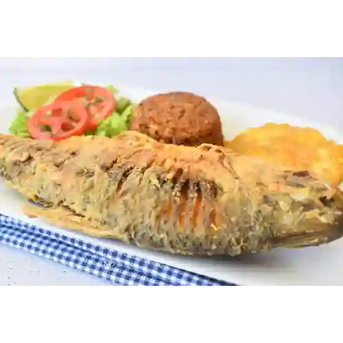 Bocachico Frito