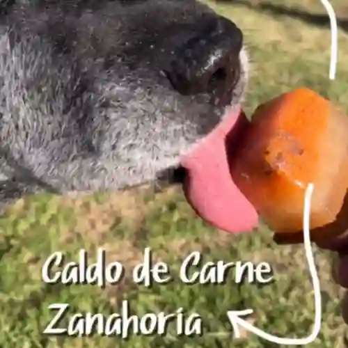 Helado para Perro