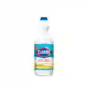 Clorox Blanqueador Pureza Cítrica
