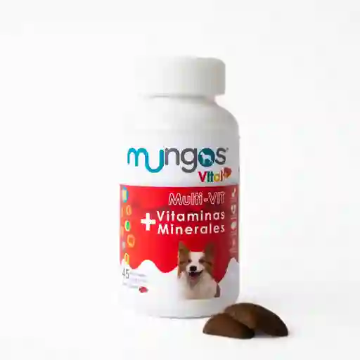 Mungos Vitaminas y Minerales 100 g