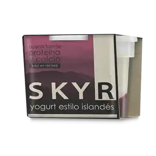 Skyr Yogurt Dejamu Frutos Del Bosque