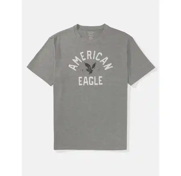 Camiseta Hombre Gris Talla X-Small American Eagle 01813477