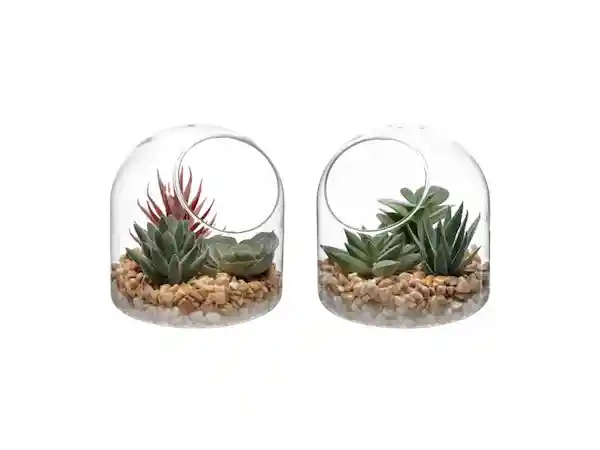 Maceta Cactus Vidrio Canasta Casaideas