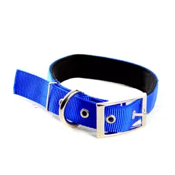Interpet Collar Perro Pequeño Surtido Pc 0084