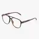 Barner Gafas Reading Brad Carey + 2.00