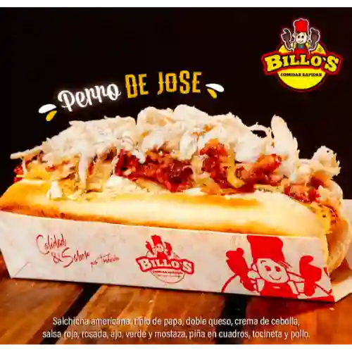 Perro de Jose