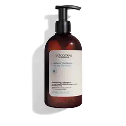 Shampoo Purificante LOccitane