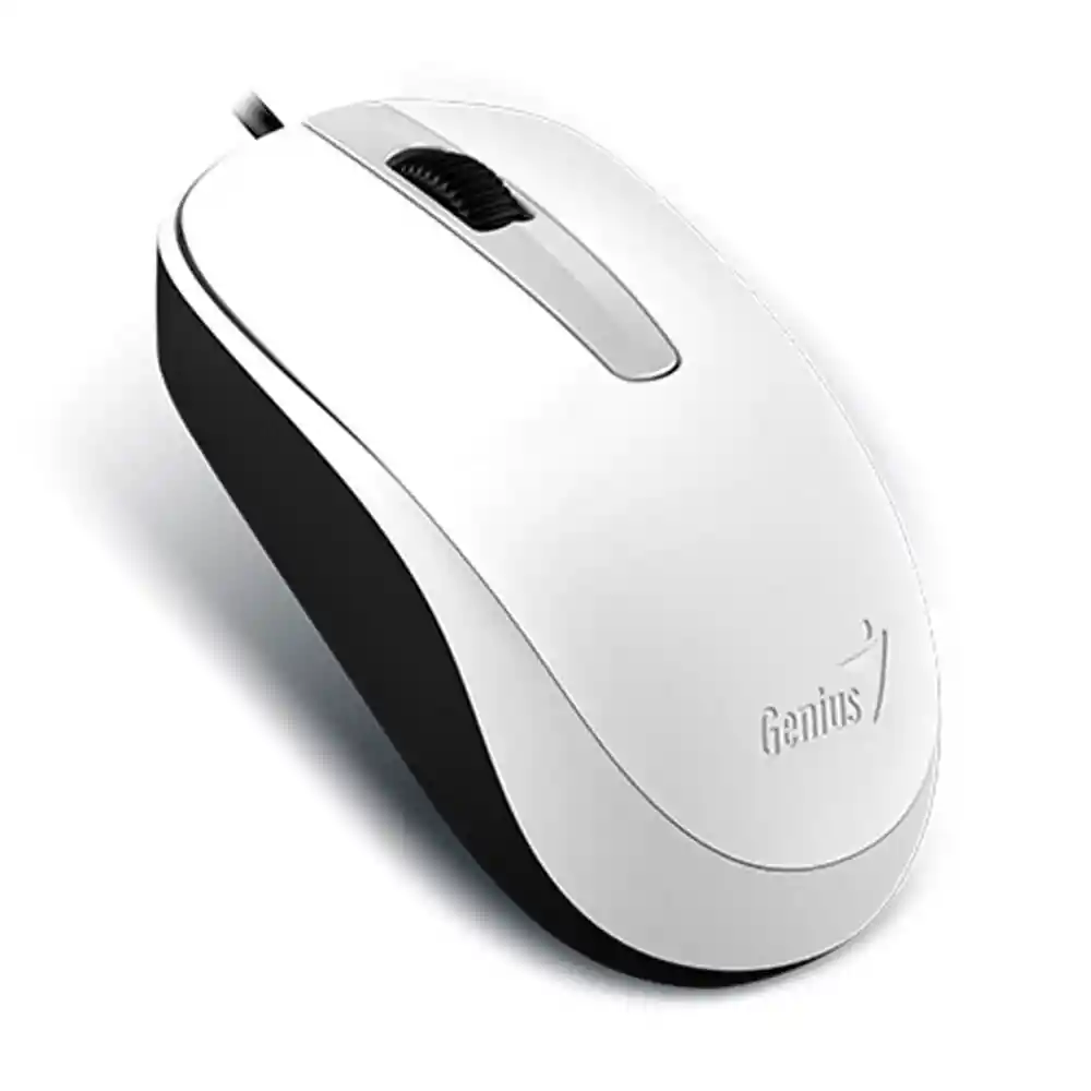 Genius Mouse DX-120 USB Blanco