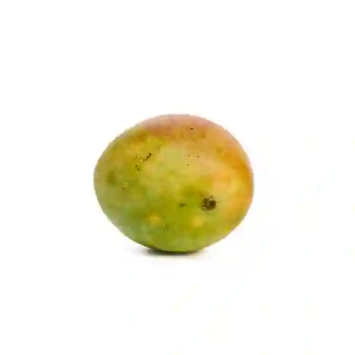 Mango Tomy