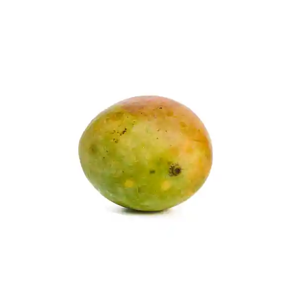 Mango Tomy