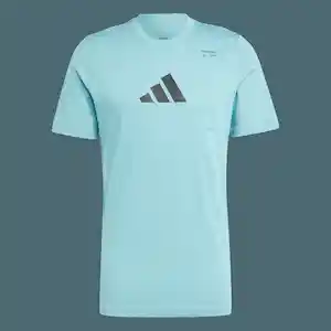 Adidas Camiseta Tr Cat Hombre Azul Talla L Ref: IY8324