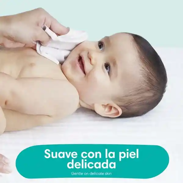 Pampers Baby Fresh Toallitas Húmedas