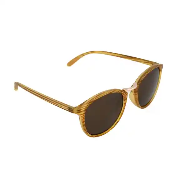 Gafas Para Hombre Color Café X17140 Steve Madden