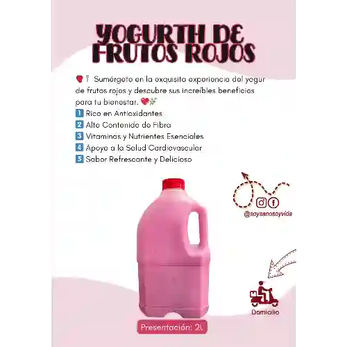 Yogurth de Frutos Rojos