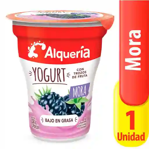 Alquería Yogurt con Trozos de Mora