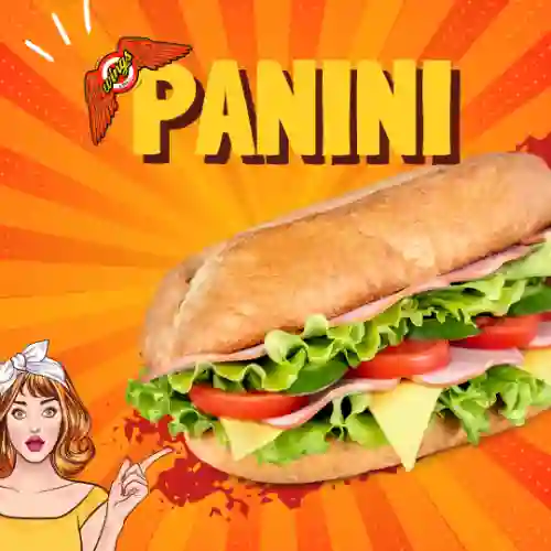 Panini de Pavo