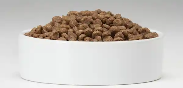 Member's Selection Alimento Para Perro de Avena y Pollo