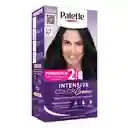Tinte Palette Color Creme 1-1 Negro Azul