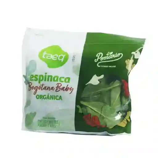 Espinaca Baby Orgánica Taeq