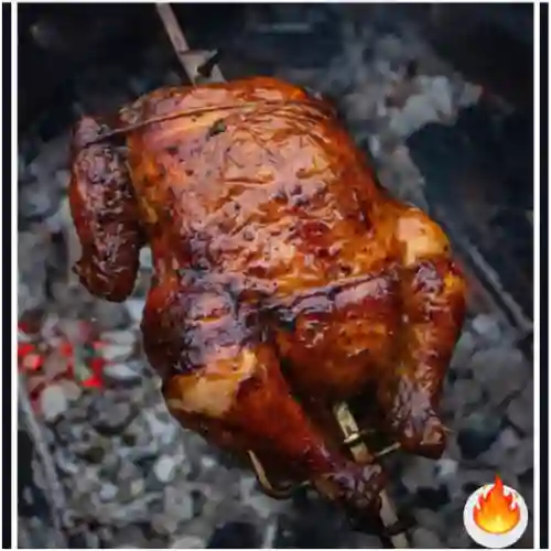 Pollo