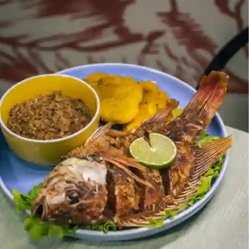Mojarra Frita