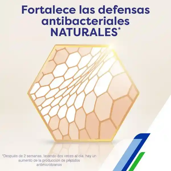 Jabón Líquido Corporal Protex Cream