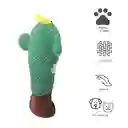 Miniso Peluche Para Mascota Cactus