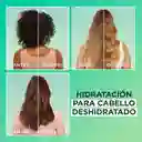 Tratamiento Capilar Hair Foof Garnier Aloe Hidratación 350 mL