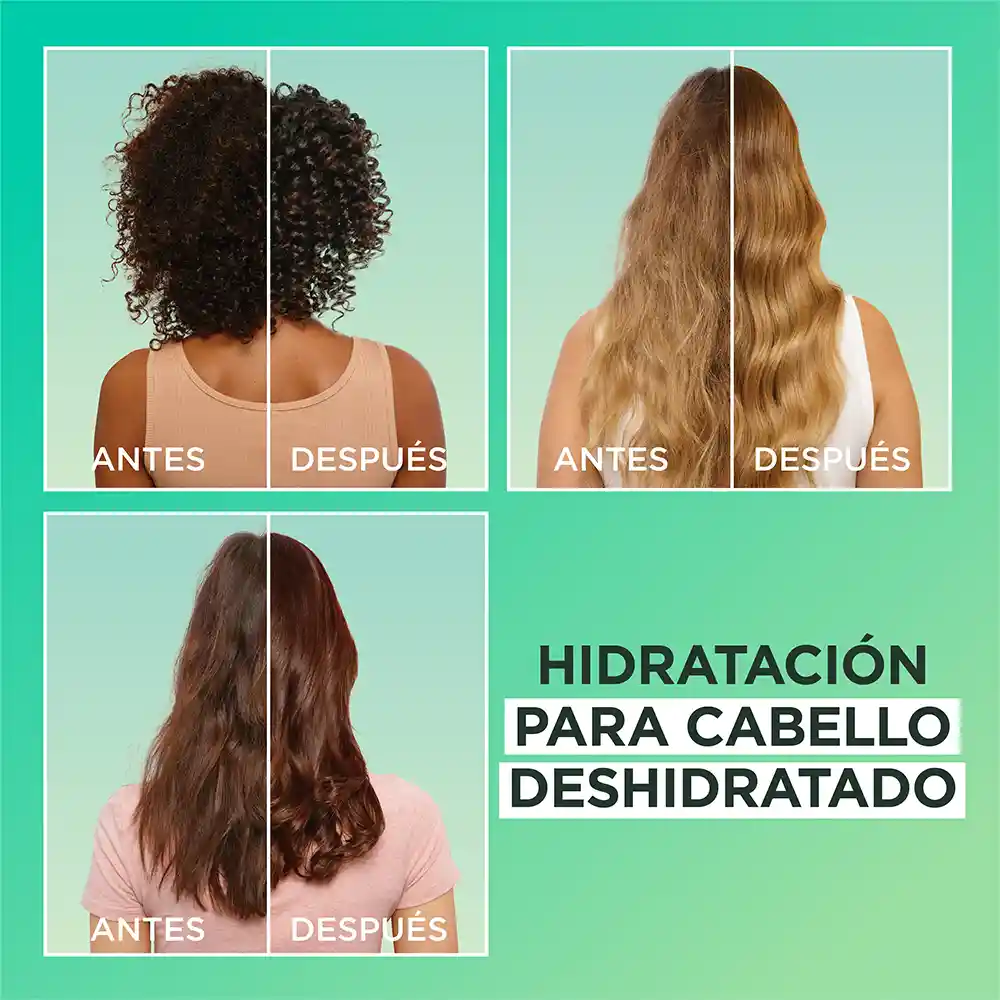 Tratamiento Capilar Hair Foof Garnier Aloe Hidratación 350 mL