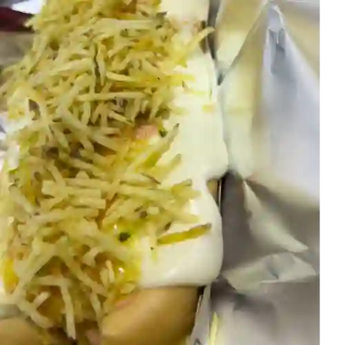 Perro Queso